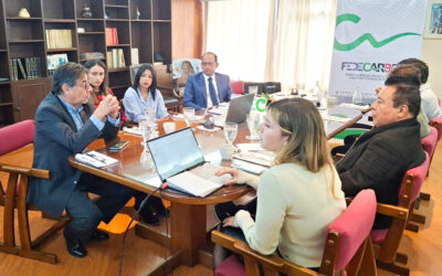 Mesa de Trabajo con Agencia Nacional de Minería