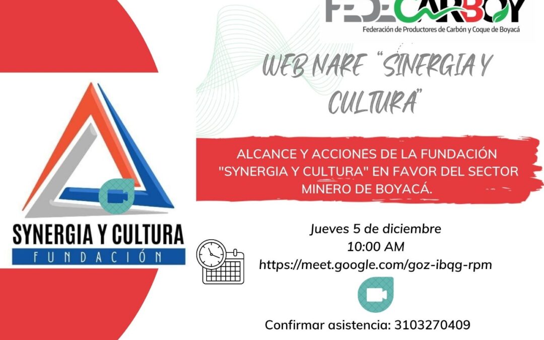 Webinar: Sinergia y cultura en favor del sector